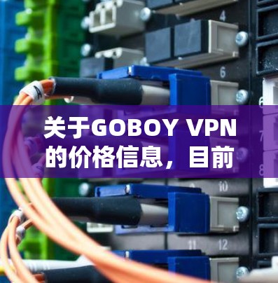 关于GOBOY VPN的价格信息,目前的信息是这样的