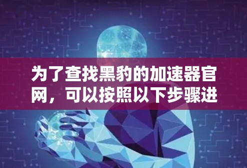 为了查找黑豹的加速器官网，可以按照以下步骤进行