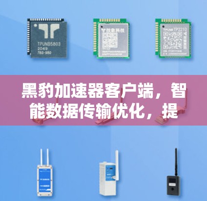 黑豹加速器客户端,智能数据传输优化,提升网络效率的通信工具