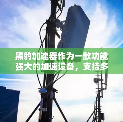 黑豹加速器作为一款功能强大的加速设备，支持多个国际运营商，覆盖广泛且数据传输速度较高。以下是对黑豹加速器国际线路的详细总结