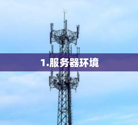 1.服务器环境