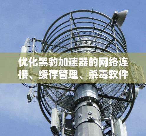 优化黑豹加速器的网络连接、缓存管理、杀毒软件和网络延迟跟踪器这四个方面是优化的关键。以下是详细的优化步骤
