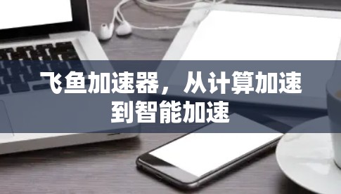 飞鱼加速器,从计算加速到智能加速