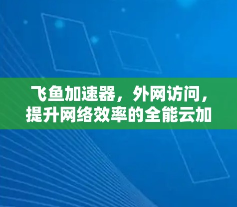 飞鱼加速器,外网访问,提升网络效率的全能云加速工具
