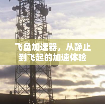 飞鱼加速器,从静止到飞起的加速体验