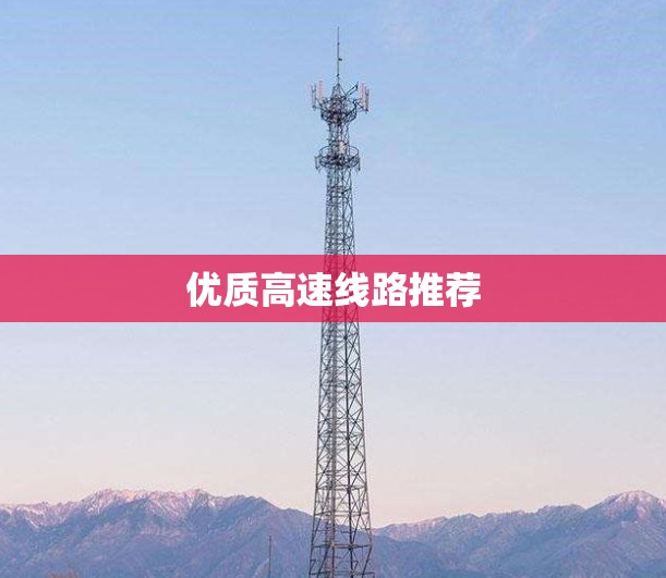 优质高速线路推荐