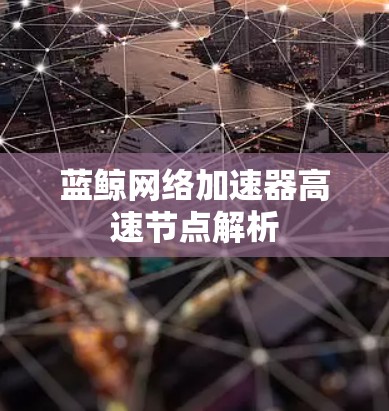 蓝鲸网络加速器高速节点解析