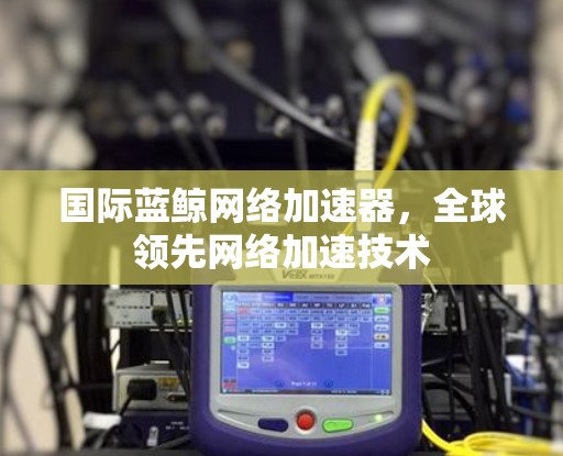 国际蓝鲸网络加速器，全球领先网络加速技术