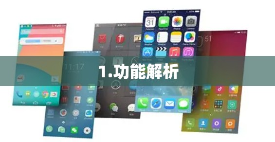 1.功能解析
