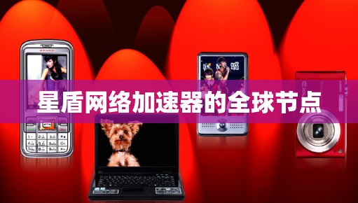 星盾网络加速器的全球节点