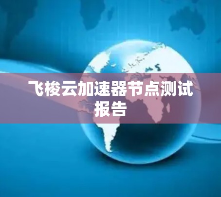 飞梭云加速器节点测试报告