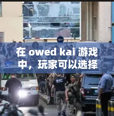 在 owed kai 游戏中，玩家可以选择使用中文或英文作为对话语言。以下是详细的步骤说明