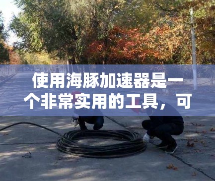 使用海豚加速器是一个非常实用的工具，可以帮助你在各种下载任务中节省时间。以下是一个详细的使用指南，帮助你顺利使用海豚加速器