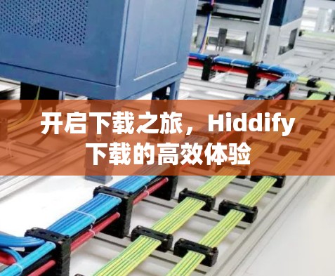 开启下载之旅，Hiddify下载的高效体验