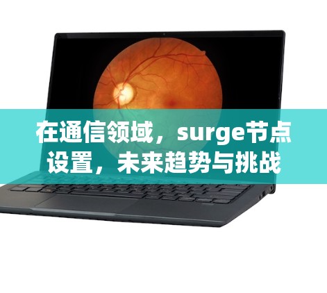 在通信领域,surge节点设置,未来趋势与挑战 在通信领域,surge节点设置,未来趋势与挑战