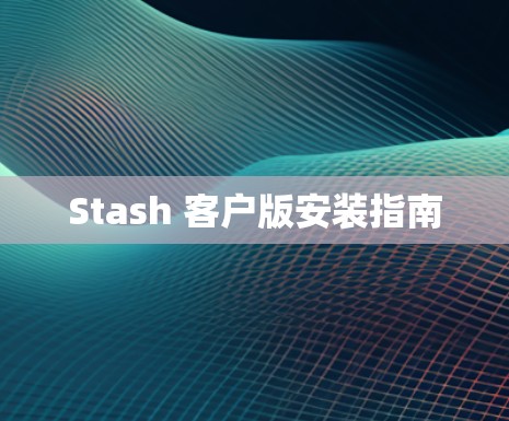 Stash 客户版安装指南