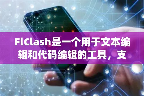 FlClash是一个用于文本编辑和代码编辑的工具，支持Markdown格式和一些Python脚本的调试功能。以下是一个使用FlClash的教程