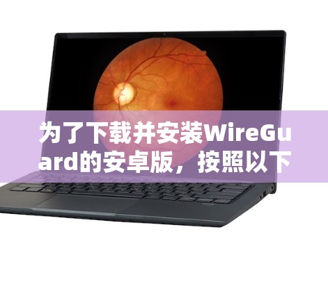 为了下载并安装WireGuard的安卓版,按照以下步骤进行