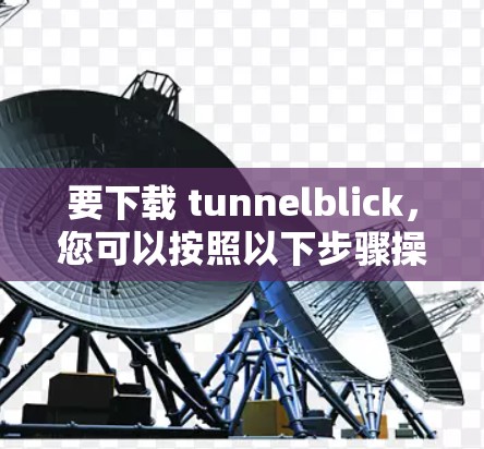 要下载 tunnelblick,您可以按照以下步骤操作