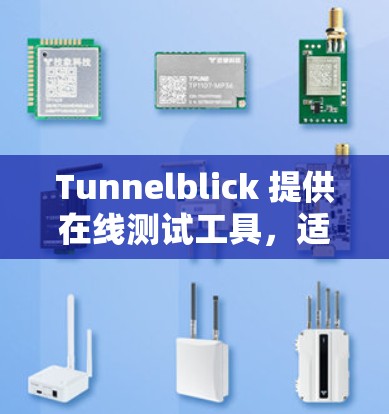 Tunnelblick 提供在线测试工具,适用于测试云服务器、网络设备或终端设备的性能。以下是其主要功能和使用指南