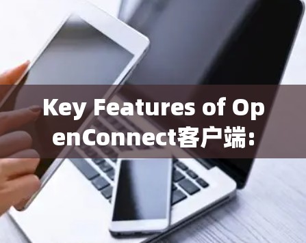 Key Features of OpenConnect客户端: