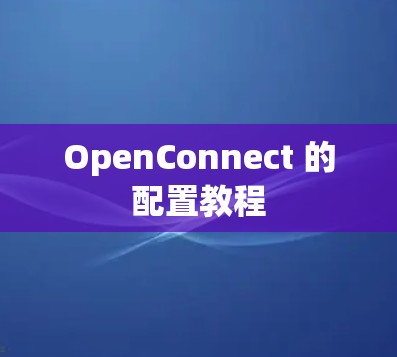OpenConnect 的配置教程