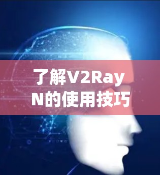 了解V2Ray N的使用技巧可以从以下几个方面入手