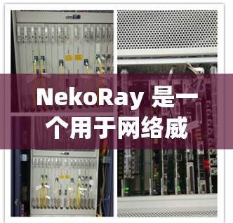 NekoRay 是一个用于网络威胁和安全监测的工具，主要用于扫描、过滤和分析网络流量，以检测潜在的网络威胁。以下是关于 NekoRay 的详细介绍
