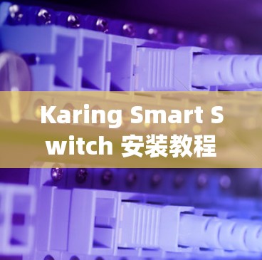 Karing Smart Switch 安装教程