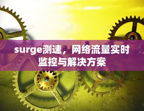 surge测速,网络流量实时监控与解决方案