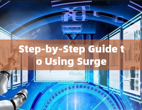 Step-by-Step Guide to Using Surge Step-by-Step Guide to Using Surge