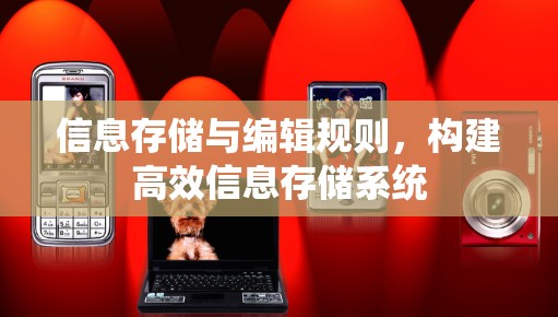 信息存储与编辑规则,构建高效信息存储系统