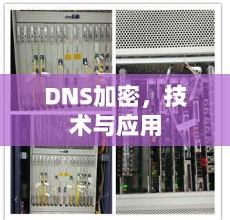 DNS加密,技术与应用