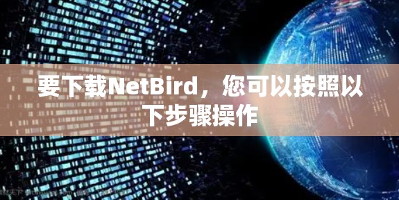要下载NetBird,您可以按照以下步骤操作