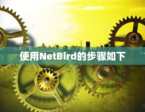 使用NetBird的步骤如下