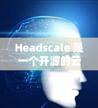 Headscale 是一个开源的云服务管理工具，用于管理云存储、云资源、云脚本和云服务。以下是 Headscale 的基本配置步骤和常用项