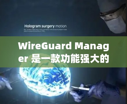 WireGuard Manager 是一款功能强大的安全设备管理工具，旨在为用户和组织提供安全配置管理功能。以下是一个详细的配置指南，涵盖 WireGuard Manager 的主要功能和配置步骤