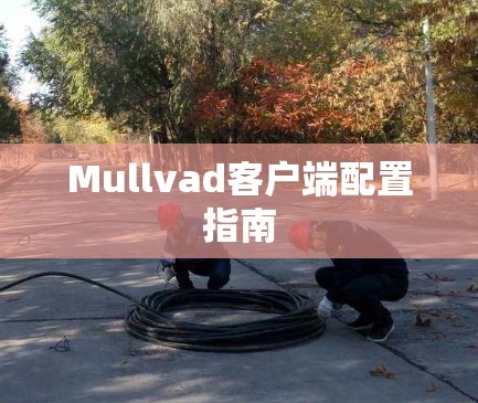 Mullvad客户端配置指南 Mullvad客户端配置指南