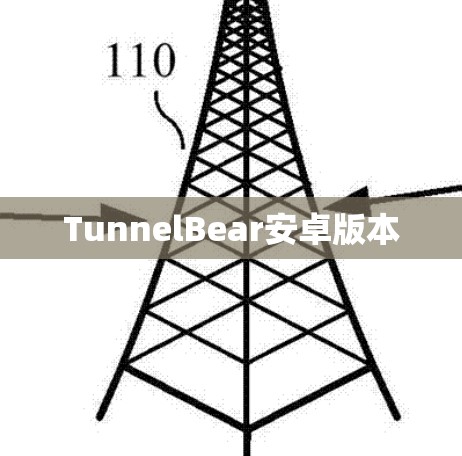 TunnelBear安卓版本