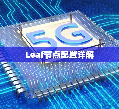 Leaf节点配置详解
