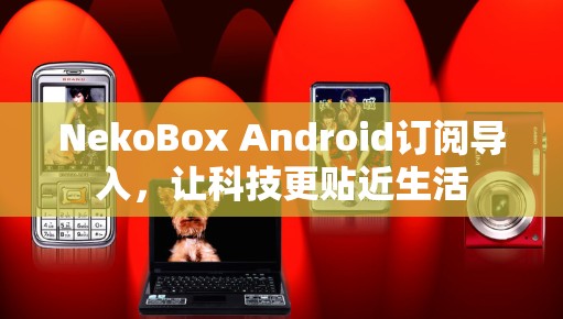 NekoBox Android订阅导入，让科技更贴近生活