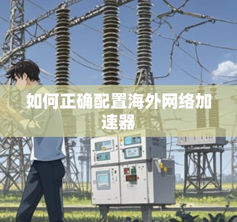 如何正确配置海外网络加速器