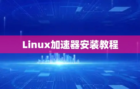 Linux加速器安装教程