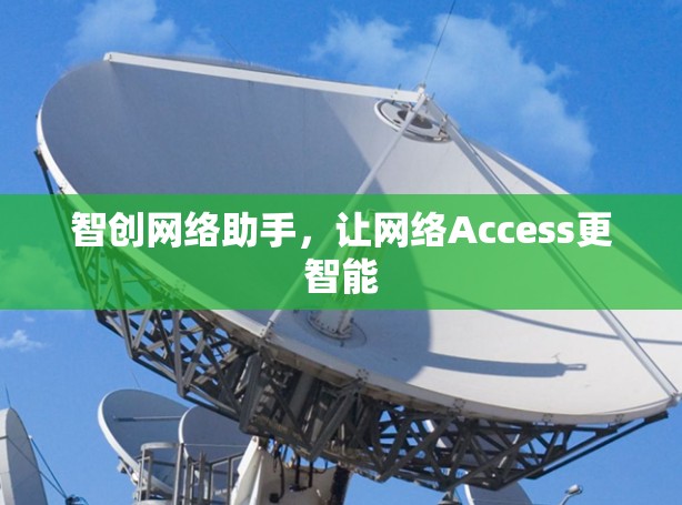 智创网络助手,让网络Access更智能