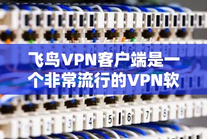 飞鸟VPN客户端是一个非常流行的VPN软件,提供多种加密方式,支持多设备访问和多个网络连接。如果你需要一个可靠、安全的VPN客户端,以下是一些推荐