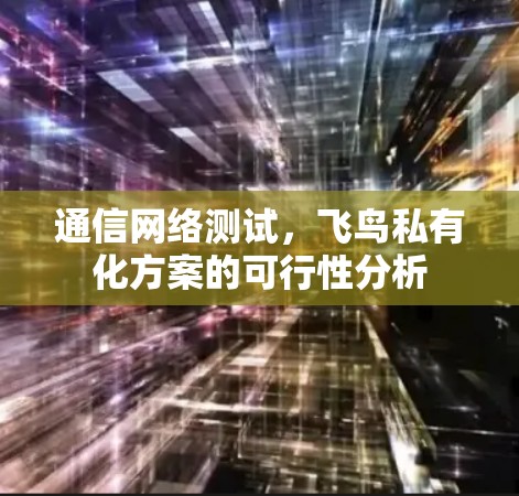 通信网络测试,飞鸟私有化方案的可行性分析