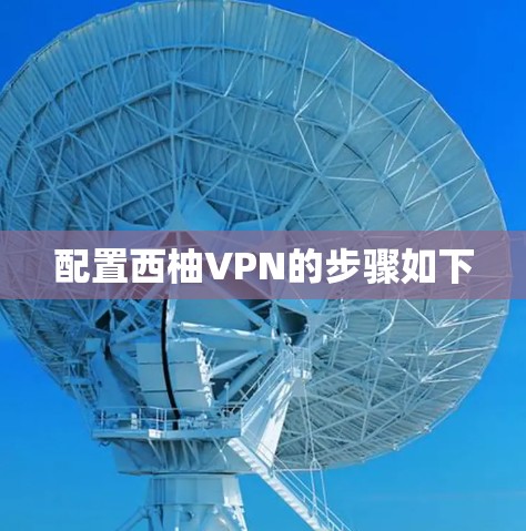 配置西柚VPN的步骤如下 配置西柚VPN的步骤如下