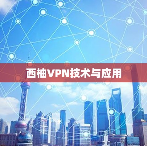 西柚VPN技术与应用