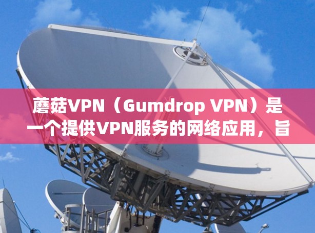 蘑菇VPN(Gumdrop VPN)是一个提供VPN服务的网络应用,旨在通过互联网进行数据传输和视频会议。它利用VPN协议确保数据的安全性和加密传输。以下是对蘑菇VPN网络测试的详细分析