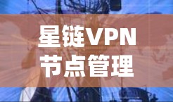 星链VPN节点管理,保障网络安全的关键力量